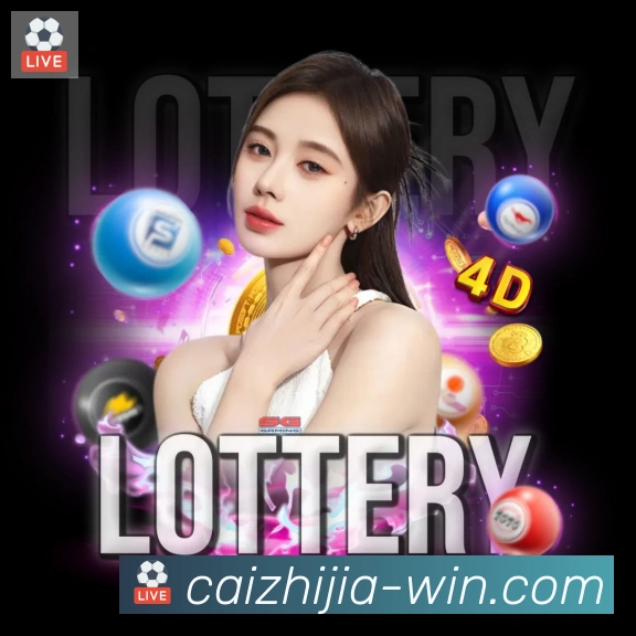 未来规划